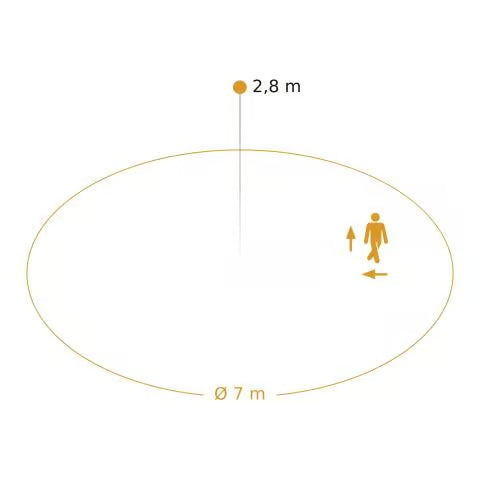 RS PRO DL 150 with motion detector & bluetooth