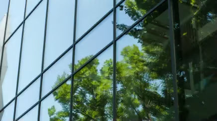 Green travel policy