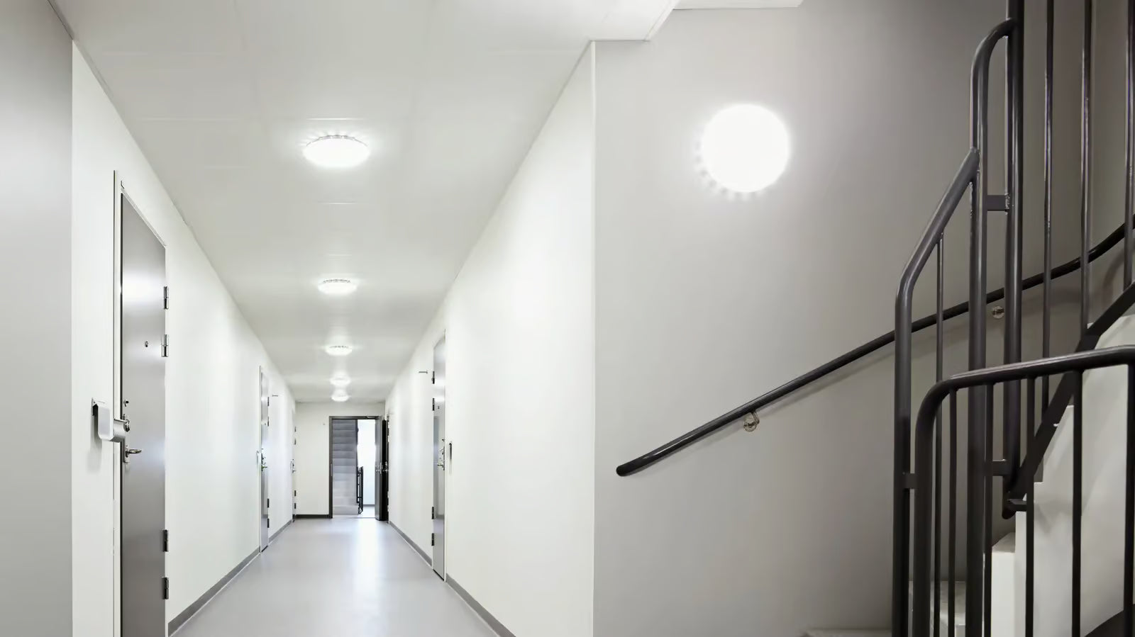 Intelligence is not a question of size. It's a question of inner values.