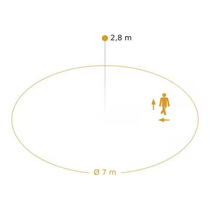 RS PRO DL 150 with motion detector & bluetooth